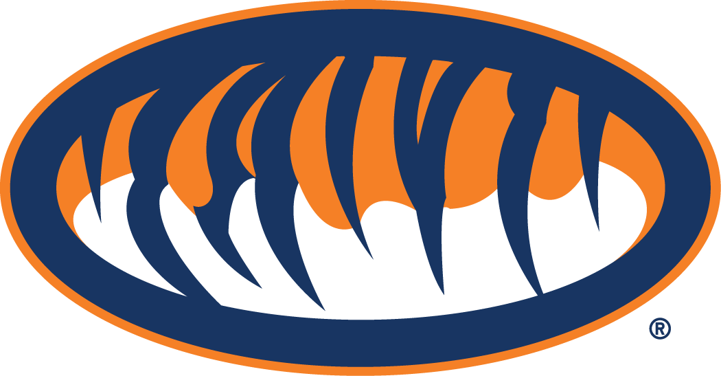 Auburn Tigers 1998-Pres Alternate Logo v2 iron on transfers for T-shirts
